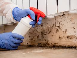 Professional Mold Remediation in Hidden Springs, ID